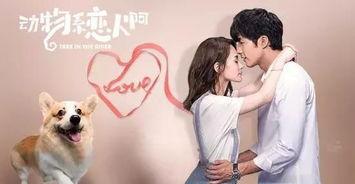 动物系恋人啊在线观看,一场跨越物种的浪漫奇遇